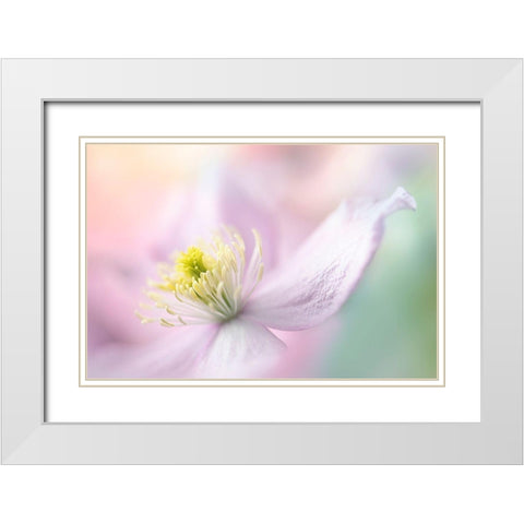 Mayleen White Modern Wood Framed Art Print with Double Matting by Parker, Jacky
