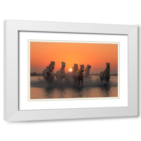 Sunset In Camargue White Modern Wood Framed Art Print with Double Matting by Anton, Rostovskiy