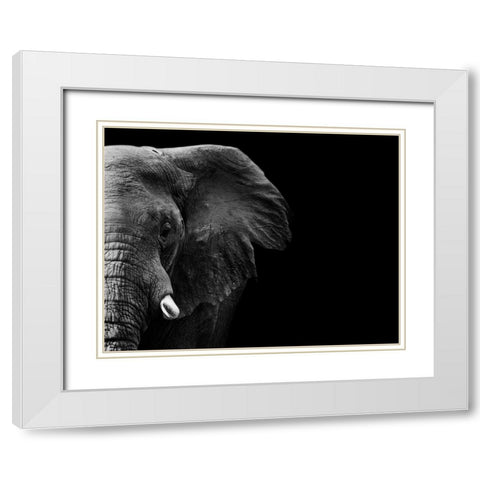 Elephant White Modern Wood Framed Art Print with Double Matting by WildPhotoArt