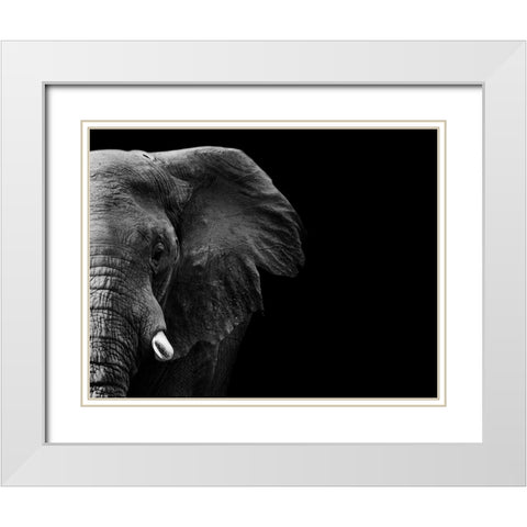 Elephant White Modern Wood Framed Art Print with Double Matting by WildPhotoArt