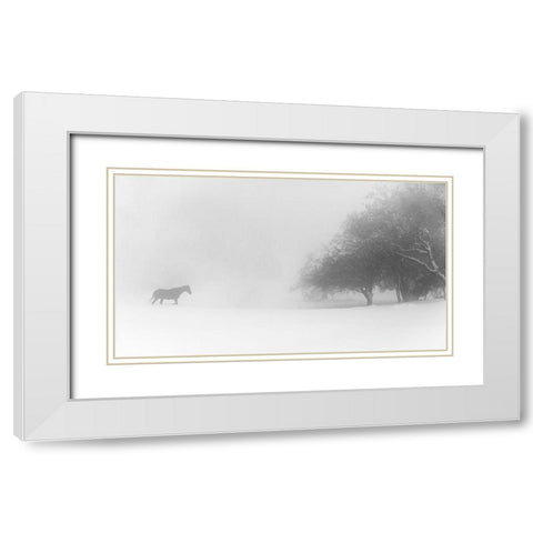 Lone Horse White Modern Wood Framed Art Print with Double Matting by Eliash, Tomer