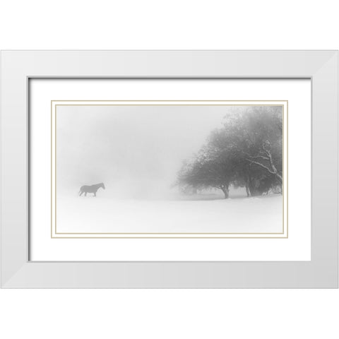 Lone Horse White Modern Wood Framed Art Print with Double Matting by Eliash, Tomer