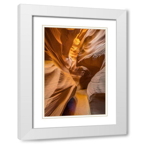 Qthe Golden Passage Wayq White Modern Wood Framed Art Print with Double Matting by C. Sink, Jeffrey
