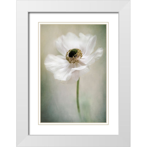 Single White White Modern Wood Framed Art Print with Double Matting by Parker, Jacky