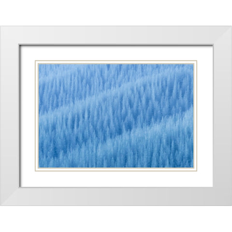 WinterS Pattern White Modern Wood Framed Art Print with Double Matting by Zhu, Jingshu