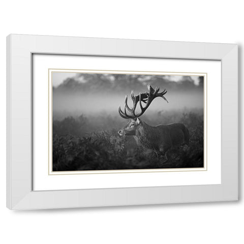 Sunny Morning White Modern Wood Framed Art Print with Double Matting by Fabrowski, Robert