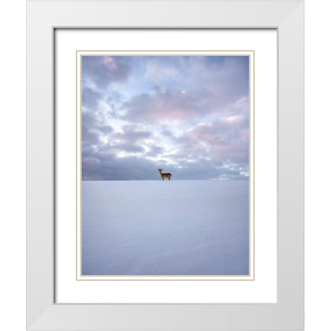 Alone White Modern Wood Framed Art Print with Double Matting by Lindsten, Christian
