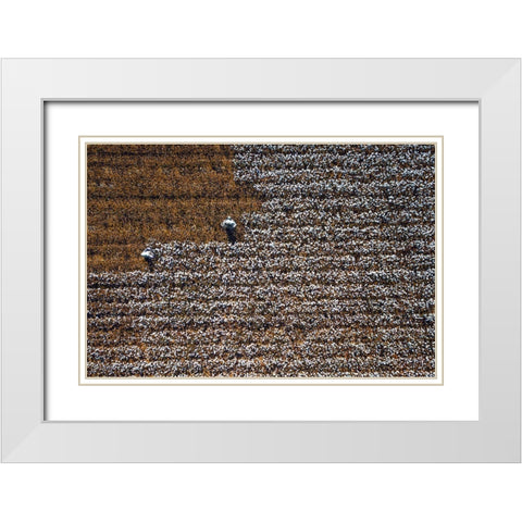 Cotton World White Modern Wood Framed Art Print with Double Matting by Chengzhou, Zhou