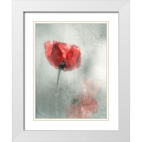 Untitled White Modern Wood Framed Art Print with Double Matting by Ignatova, Desislava