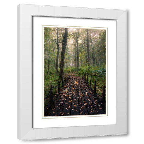 Misty Morning White Modern Wood Framed Art Print with Double Matting by Lindsten, Christian