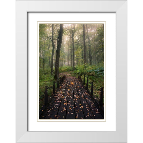 Misty Morning White Modern Wood Framed Art Print with Double Matting by Lindsten, Christian