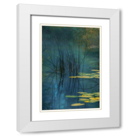 Perspective Image