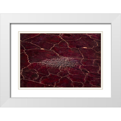 Red Planet White Modern Wood Framed Art Print with Double Matting by Fan, John