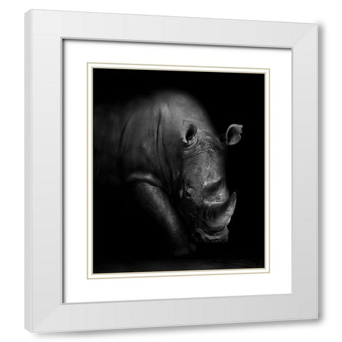 Rhino White Modern Wood Framed Art Print with Double Matting by Wildphotoart