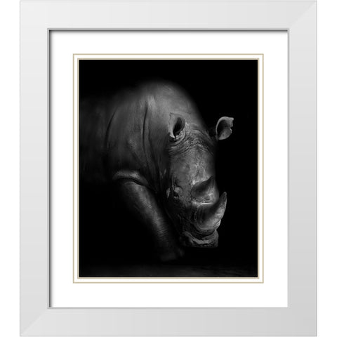 Rhino White Modern Wood Framed Art Print with Double Matting by Wildphotoart