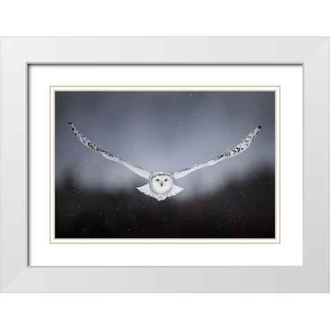 Straight To Me White Modern Wood Framed Art Print with Double Matting by Ghizzi Panizza, Alberto