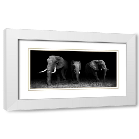 Out Of The Darkness White Modern Wood Framed Art Print with Double Matting by Wildphotoart
