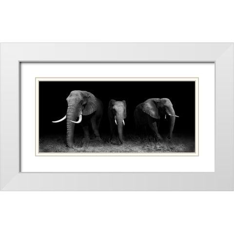 Out Of The Darkness White Modern Wood Framed Art Print with Double Matting by Wildphotoart
