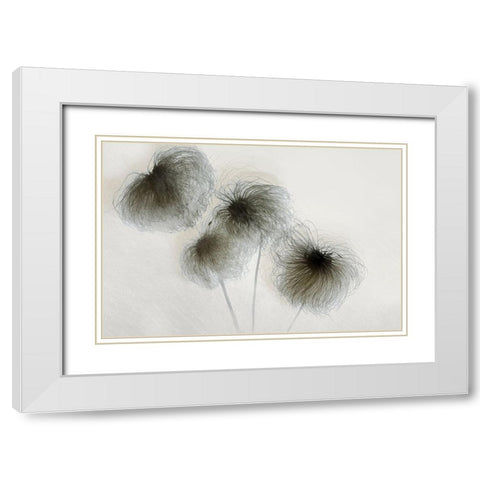 Clematis White Modern Wood Framed Art Print with Double Matting by Talen, Nel