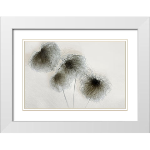 Clematis White Modern Wood Framed Art Print with Double Matting by Talen, Nel