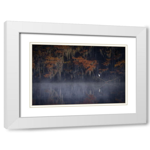 Misty Morning White Modern Wood Framed Art Print with Double Matting by Zheng, Michael