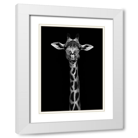 Giraffe Portrait White Modern Wood Framed Art Print with Double Matting by WildPhotoArt