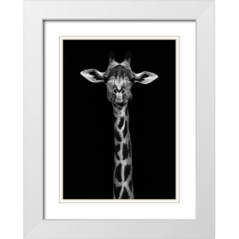 Giraffe Portrait White Modern Wood Framed Art Print with Double Matting by WildPhotoArt