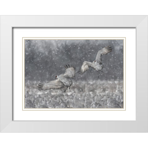 Step Aside! White Modern Wood Framed Art Print with Double Matting by Wang, Kevin