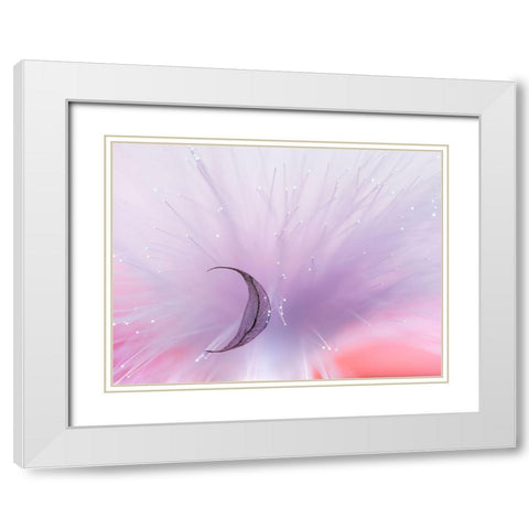 Untitled White Modern Wood Framed Art Print with Double Matting by Selezenev, Konstantin