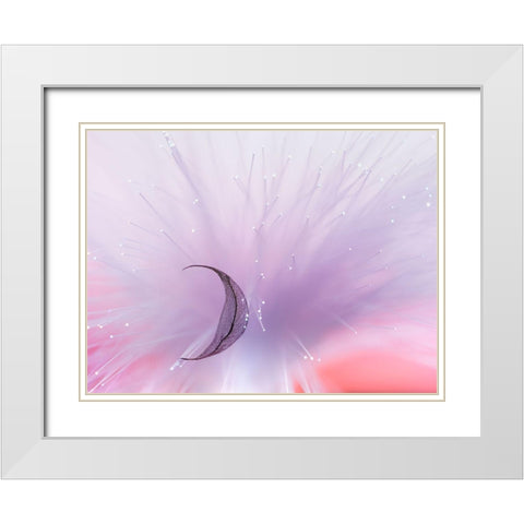 Untitled White Modern Wood Framed Art Print with Double Matting by Selezenev, Konstantin
