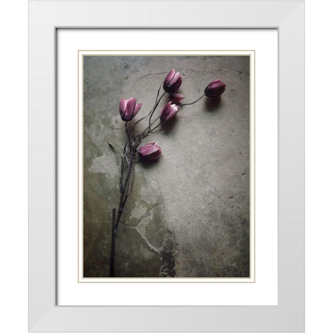 The Elegant Tulip White Modern Wood Framed Art Print with Double Matting by Lagaa, Kahar