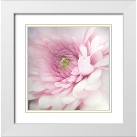 Pink White Modern Wood Framed Art Print with Double Matting by Riahy, Benyamin