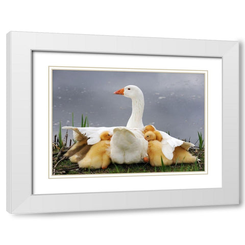 Mums Protection White Modern Wood Framed Art Print with Double Matting by Limberg, Huib
