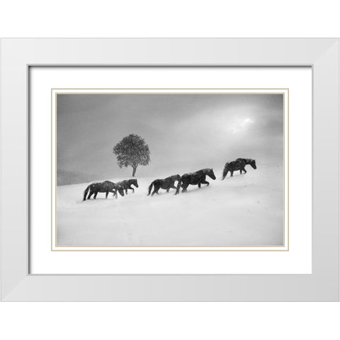 Untitled White Modern Wood Framed Art Print with Double Matting by Tanev, Todor