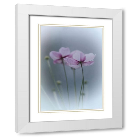 Purple Delight White Modern Wood Framed Art Print with Double Matting by Bamboo, Purple