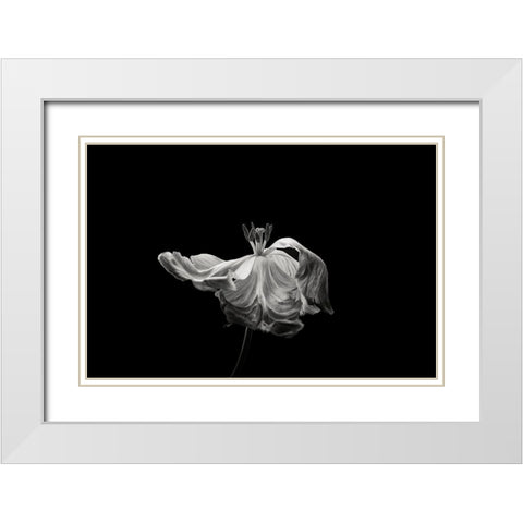 Tulip White Modern Wood Framed Art Print with Double Matting by Gronkjar, Lotte
