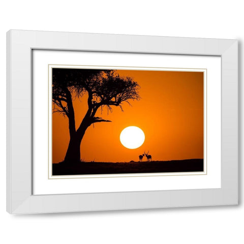 African Sunset White Modern Wood Framed Art Print with Double Matting by Zhang, Jonathan