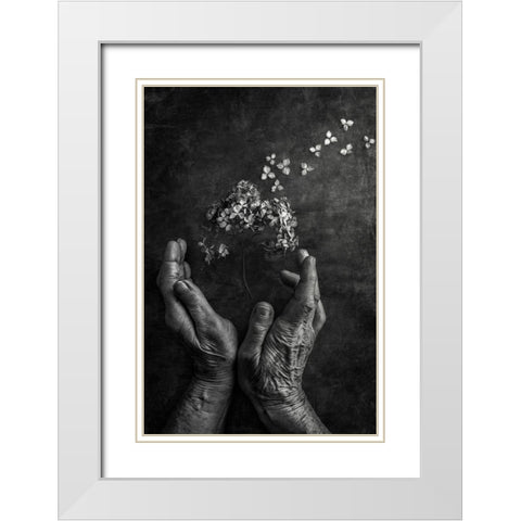 Tempus Fugit White Modern Wood Framed Art Print with Double Matting by Clough, Stephen