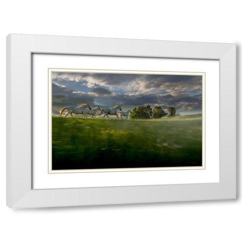 In The Morning Pink White Modern Wood Framed Art Print with Double Matting by Malovrh, Milan