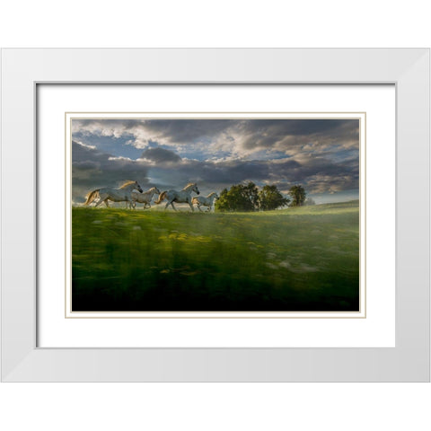 In The Morning Pink White Modern Wood Framed Art Print with Double Matting by Malovrh, Milan