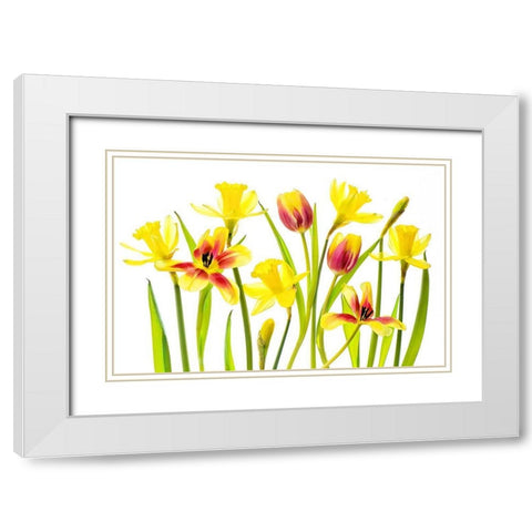 Vibrant Spring White Modern Wood Framed Art Print with Double Matting by Parker, Jacky