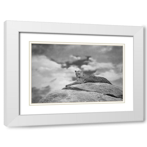 Leopard On A Kopje White Modern Wood Framed Art Print with Double Matting by Moreno, Mario