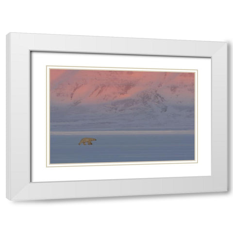 Polar Bear White Modern Wood Framed Art Print with Double Matting by Marchegiani, Roberto