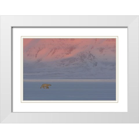Polar Bear White Modern Wood Framed Art Print with Double Matting by Marchegiani, Roberto