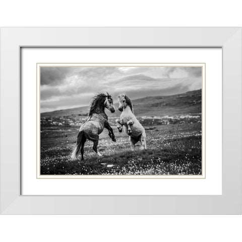 Wild And Free White Modern Wood Framed Art Print with Double Matting by Vidak, Vedran