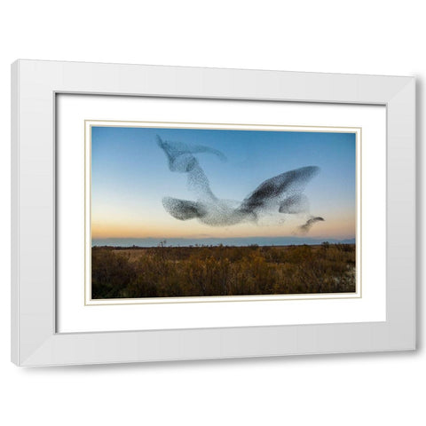 El Vuelo White Modern Wood Framed Art Print with Double Matting by Vilches, David