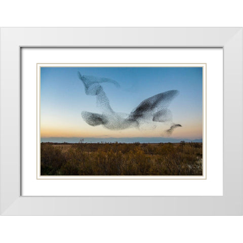 El Vuelo White Modern Wood Framed Art Print with Double Matting by Vilches, David