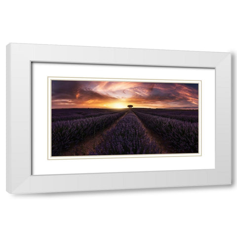 Lavender Sunset White Modern Wood Framed Art Print with Double Matting by Ruiz Dueso, Jorge