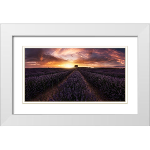 Lavender Sunset White Modern Wood Framed Art Print with Double Matting by Ruiz Dueso, Jorge