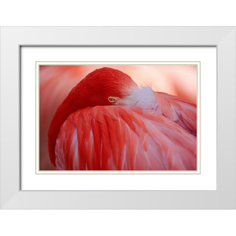 Red White Modern Wood Framed Art Print with Double Matting by Wenner-Braun, Antje